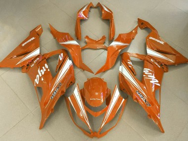 Ninja Naranja 2013-2018 Kawasaki ZX6R Carenado Moto