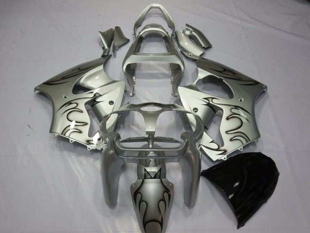 Plata Llama 2000-2002 Kawasaki ZX6R Carenado Moto