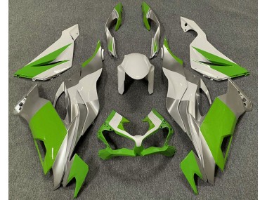 Verde Blanco & Plata 2019-2023 Kawasaki ZX6R Carenado Moto